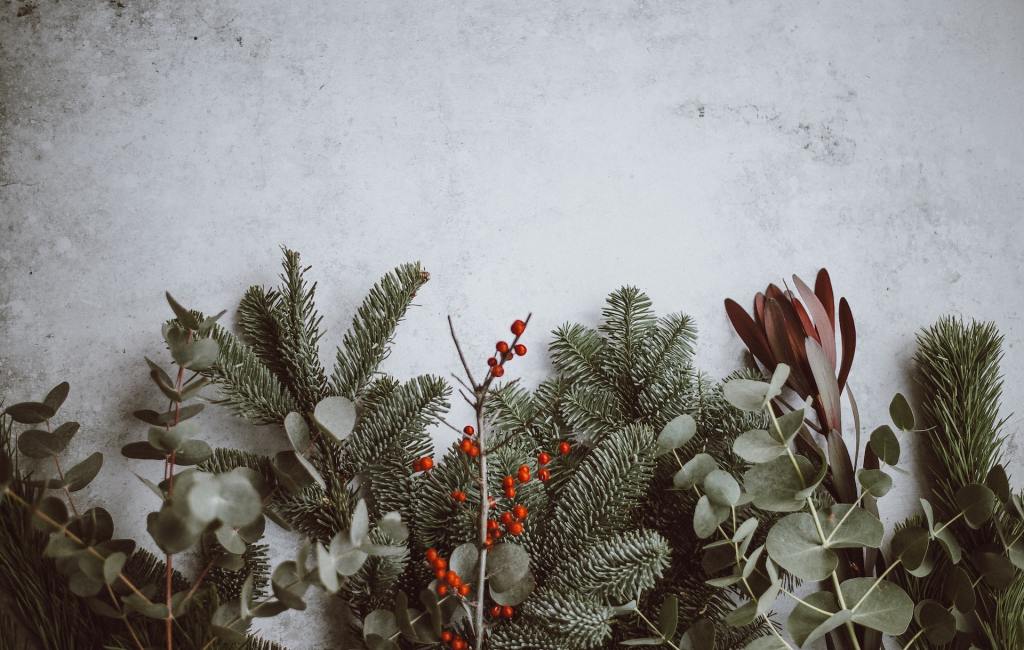 Winter greens against a muted background including winterberries, pine, eucalyptus.