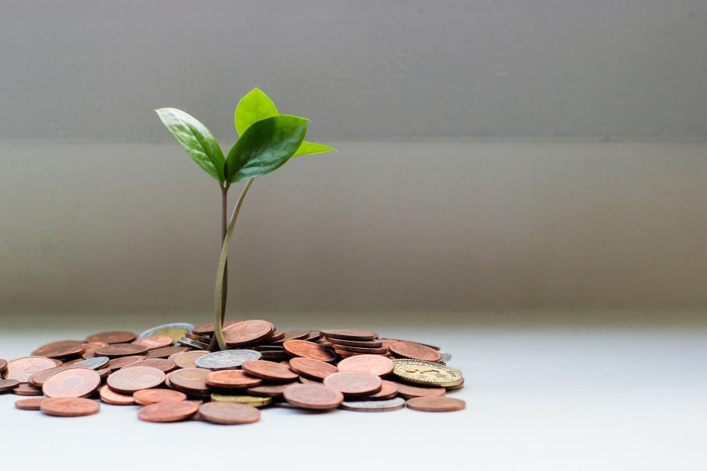 seedling growing from a pile of coins. 
